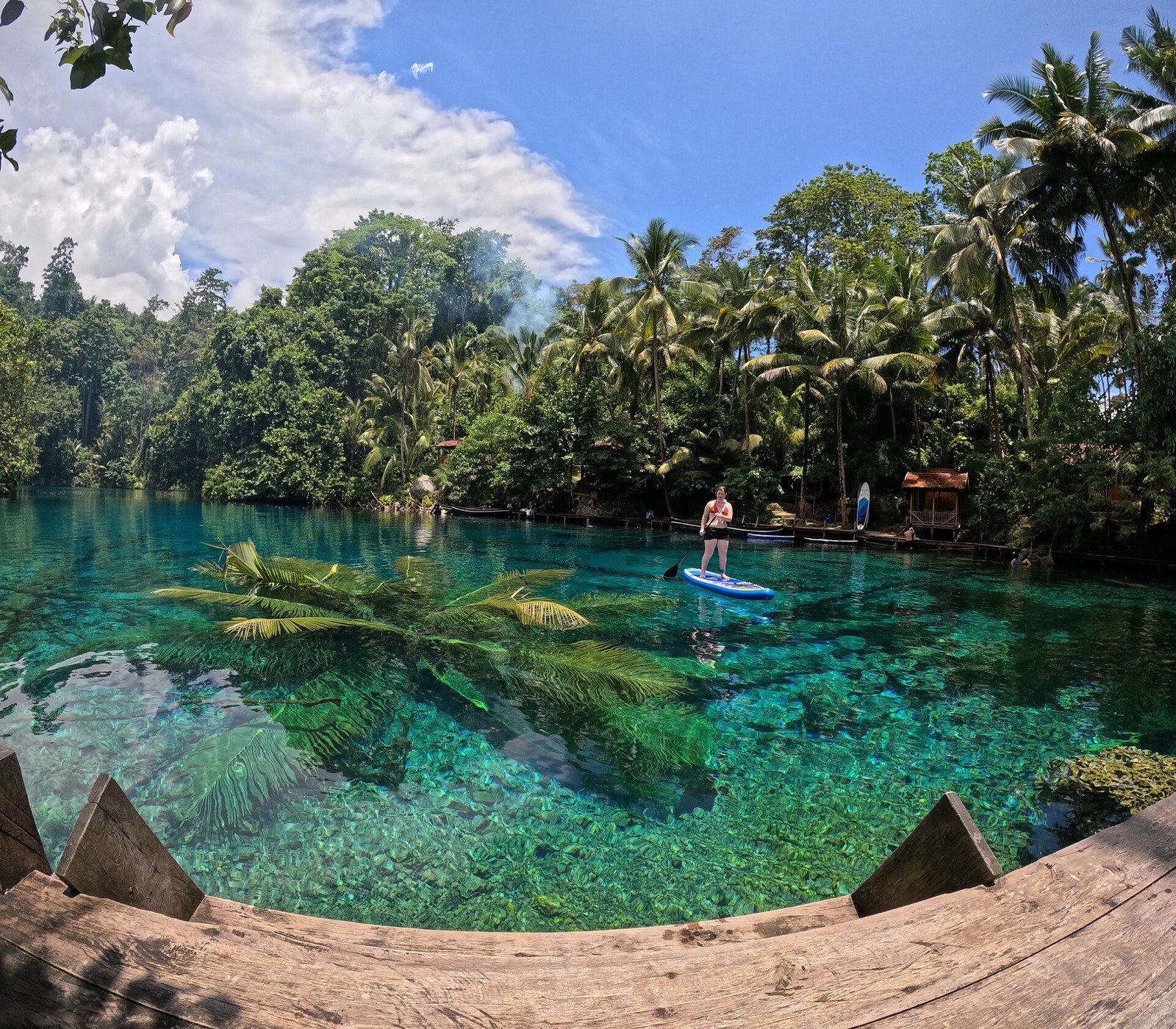 Banggai