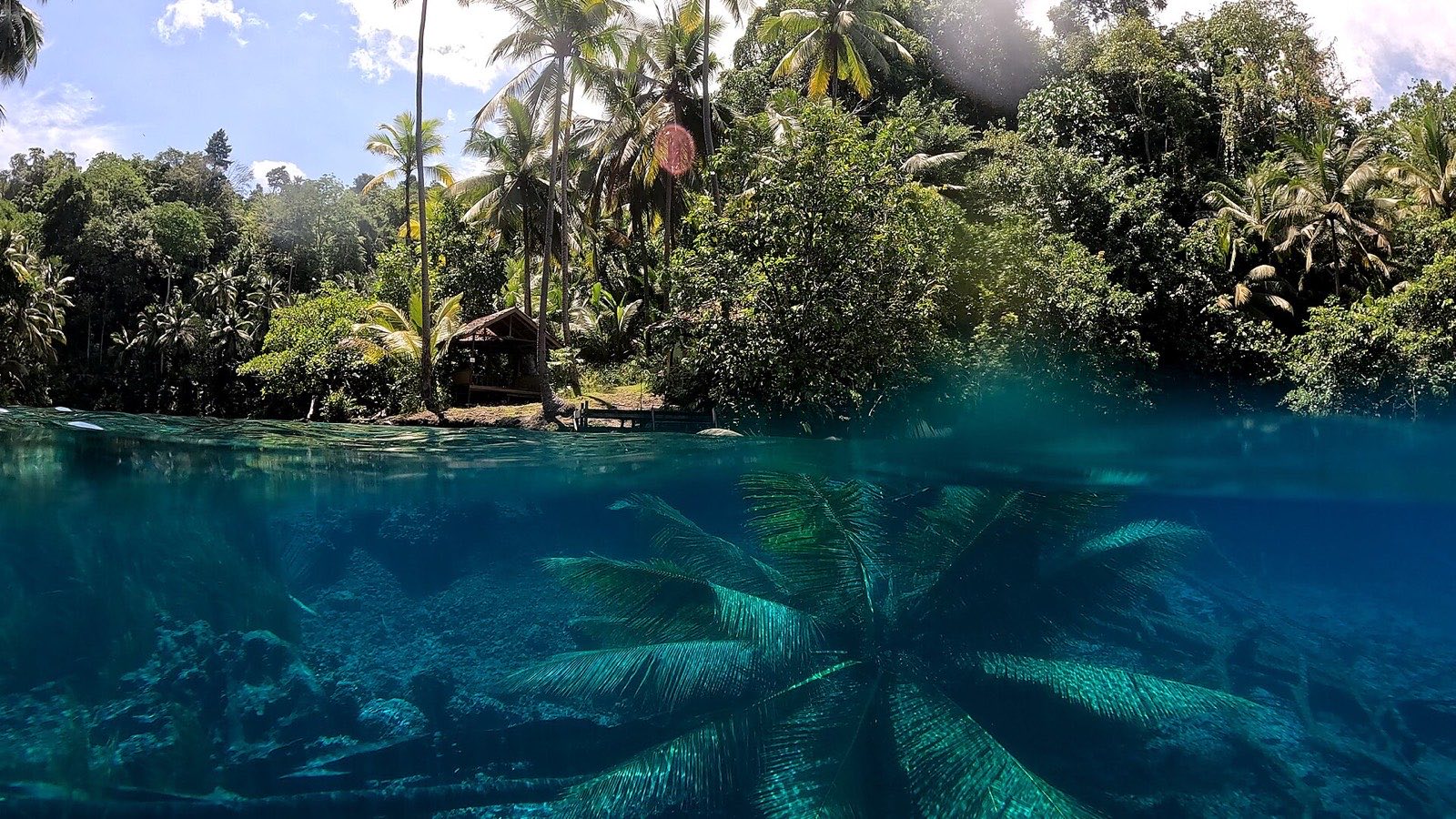 Custom Banggai Trip