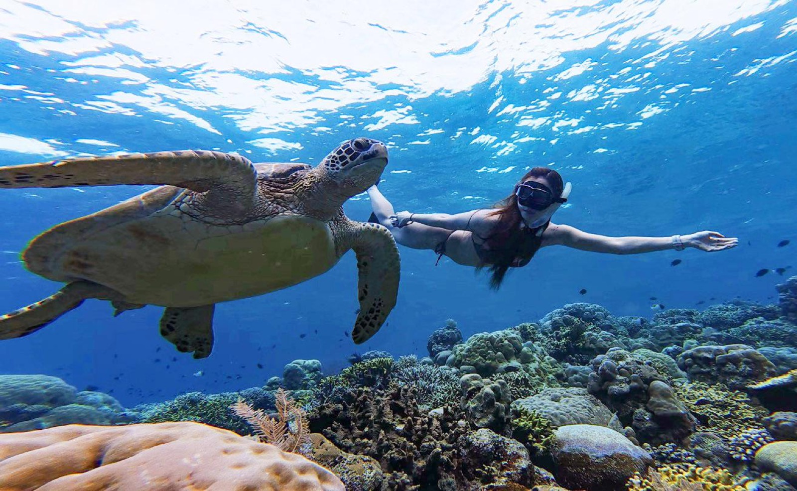 Bunaken Island Trip