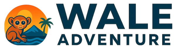 Wale Adventure