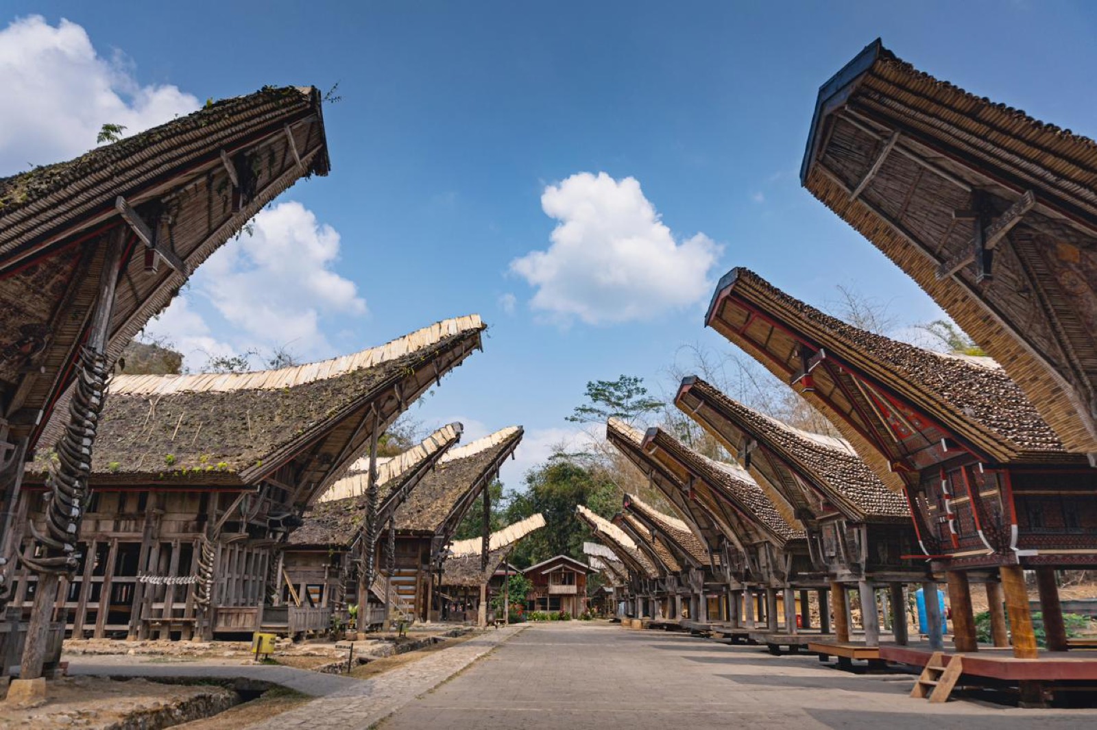Tana Toraja travel guide: villages, burial sites and how to get there
